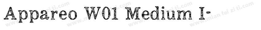 Appareo W01 Medium I字体转换